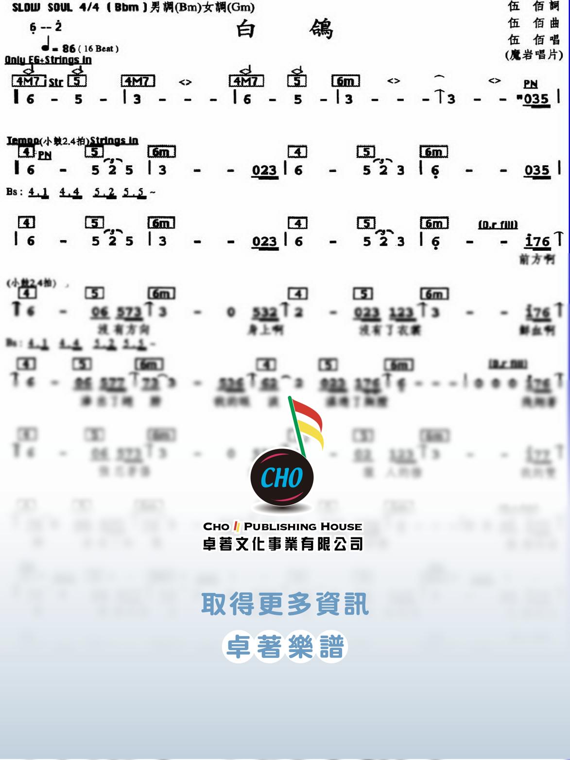 白鴿